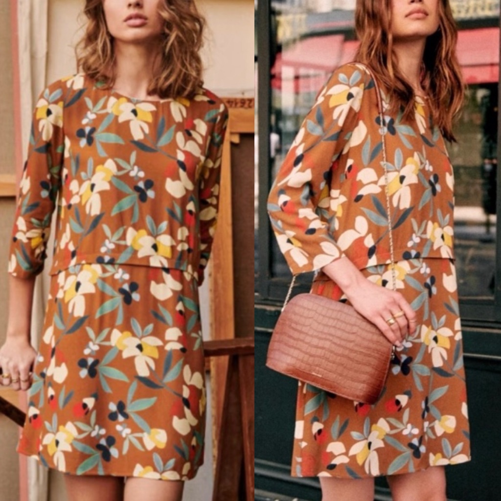 Sezane Dalila Dress Floral Print Bohemian Brown Size 44 French Us 12 Lined Boho